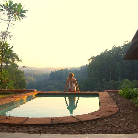 Timamoon Lodge Хейзивью Экстерьер фото
